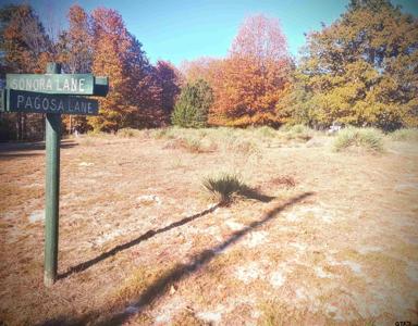 TBD Pagosa Lane