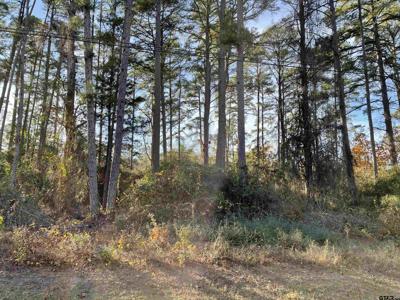 TBD Green Meadow Trail