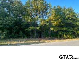 20908 Virginia Rd