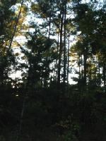 Lot 112 Eastern Hill Drive