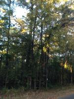 Lot 168 Deer Run Road