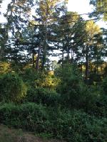 Lot 10 Channel View Drive