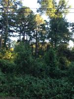 Lot 205 and 206 Creekside Drive