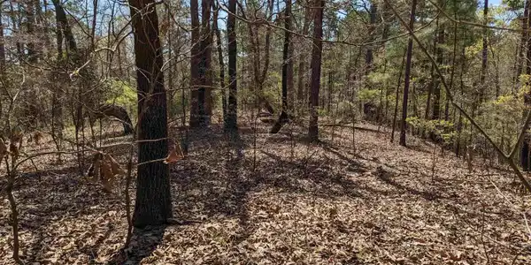 TBD Ravenwood Lp Lot 42