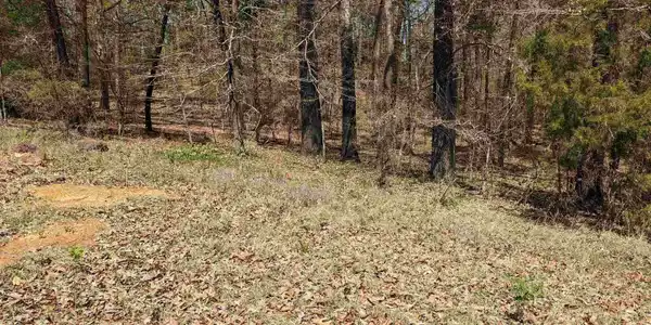 TBD Bois 'D Arc LOT 91