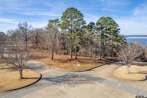 TBD Eagles Bluff Blvd S