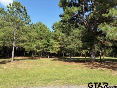 204 Pack Saddle Ridge