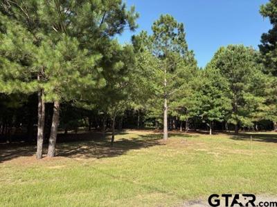 208 Pack Saddle Ridge