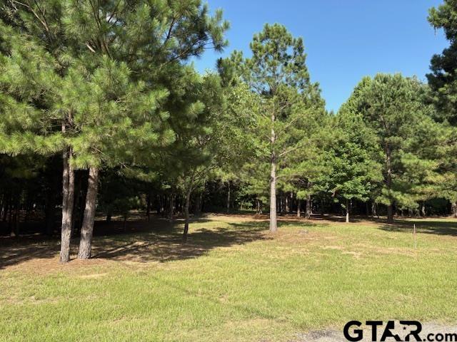 Image 0: Lot 118