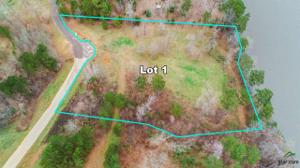 Lot 1 Springlake Drive