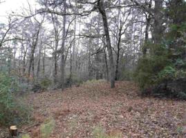 0000 Valleywood Trail