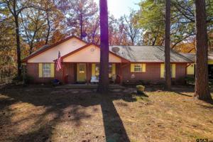 17441 Flaming Tree Way