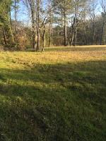 Lot 4 CR 3009