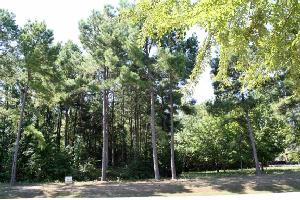 Lot 2 Nathan Dr.