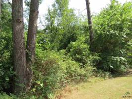 000 Forest Lane