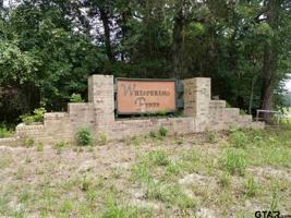 31.733 Acres Whispering Pines