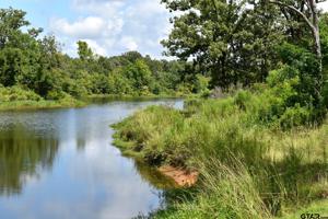 841 County Road 1590