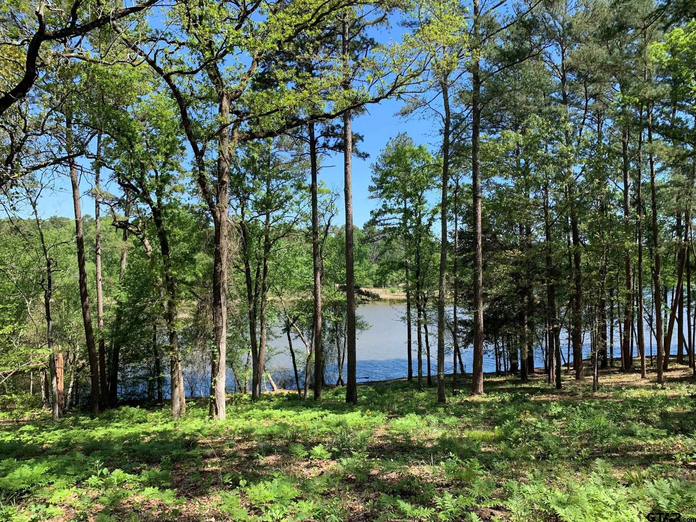 Image 1: Gentle Slope to the water