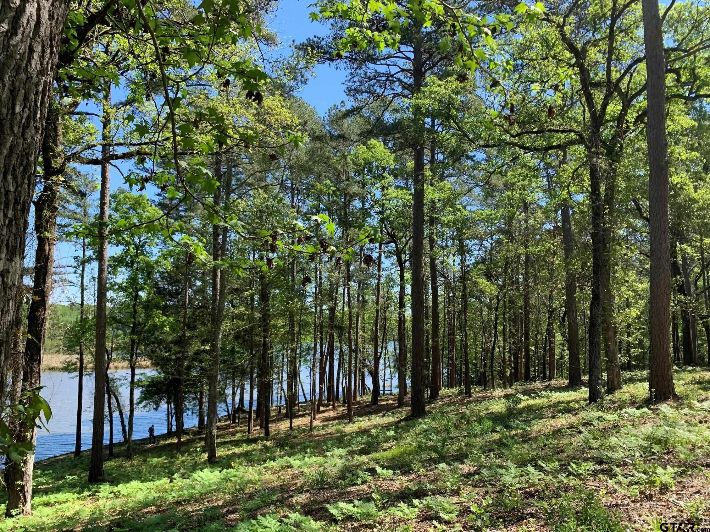 Image 2: Elevated Expansive Homesite Views!