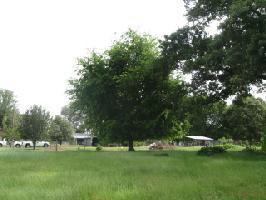 201 W. Elm