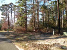 LOT 391 Holly Trail E