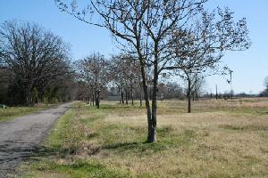 Lot 5 CR 2720