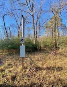 Lot #9 Tall Timber Road