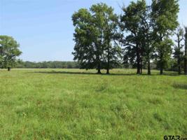 East of 2500 W FM 515