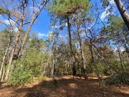 LOTS 284-286 PEACHTREE LANE