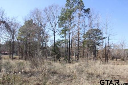 745 Stone Chimney Rd (Lot 1, CR 3608)