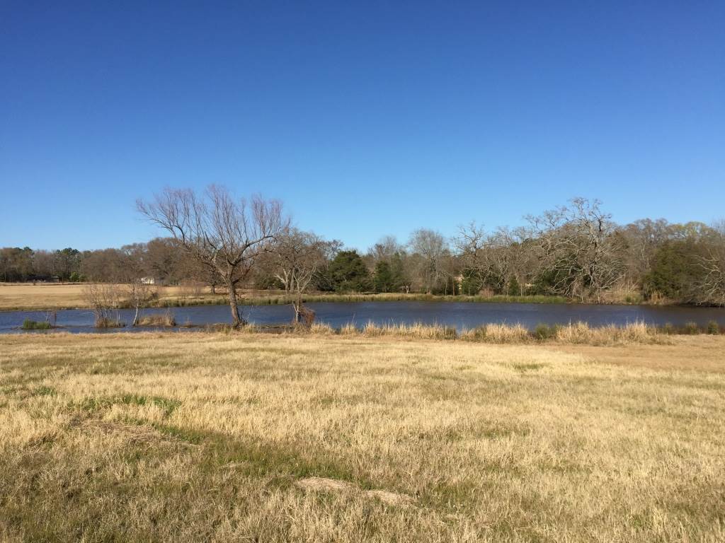Waterfront Homes For Sale Lake Tyler East at Jimmy Towle blog