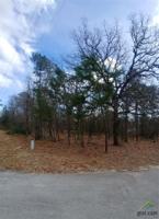 Sec 2 Lot 220 High Hill/Blue Bird