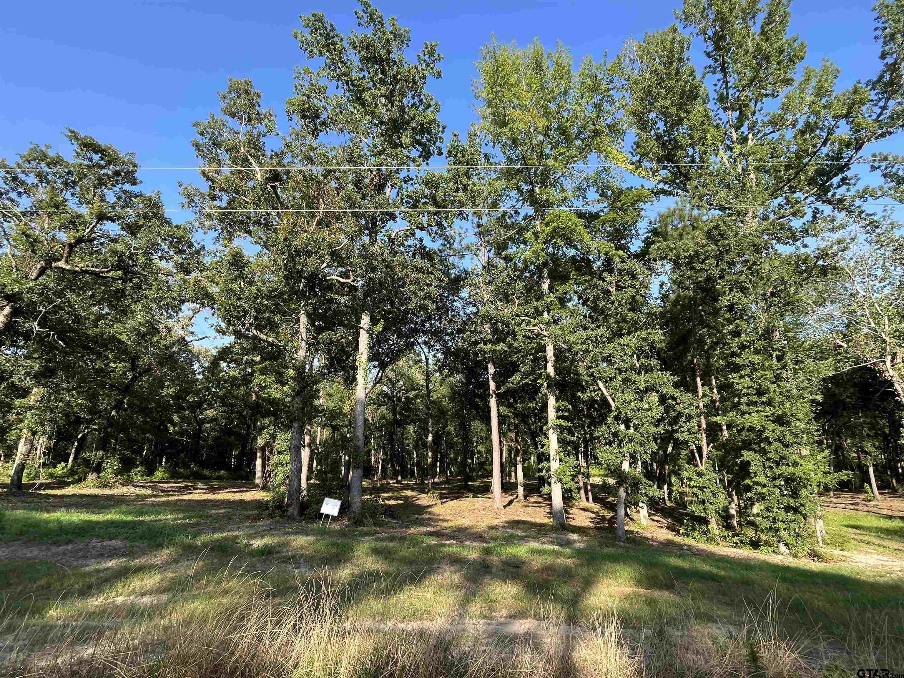 Image 0: Lot 50