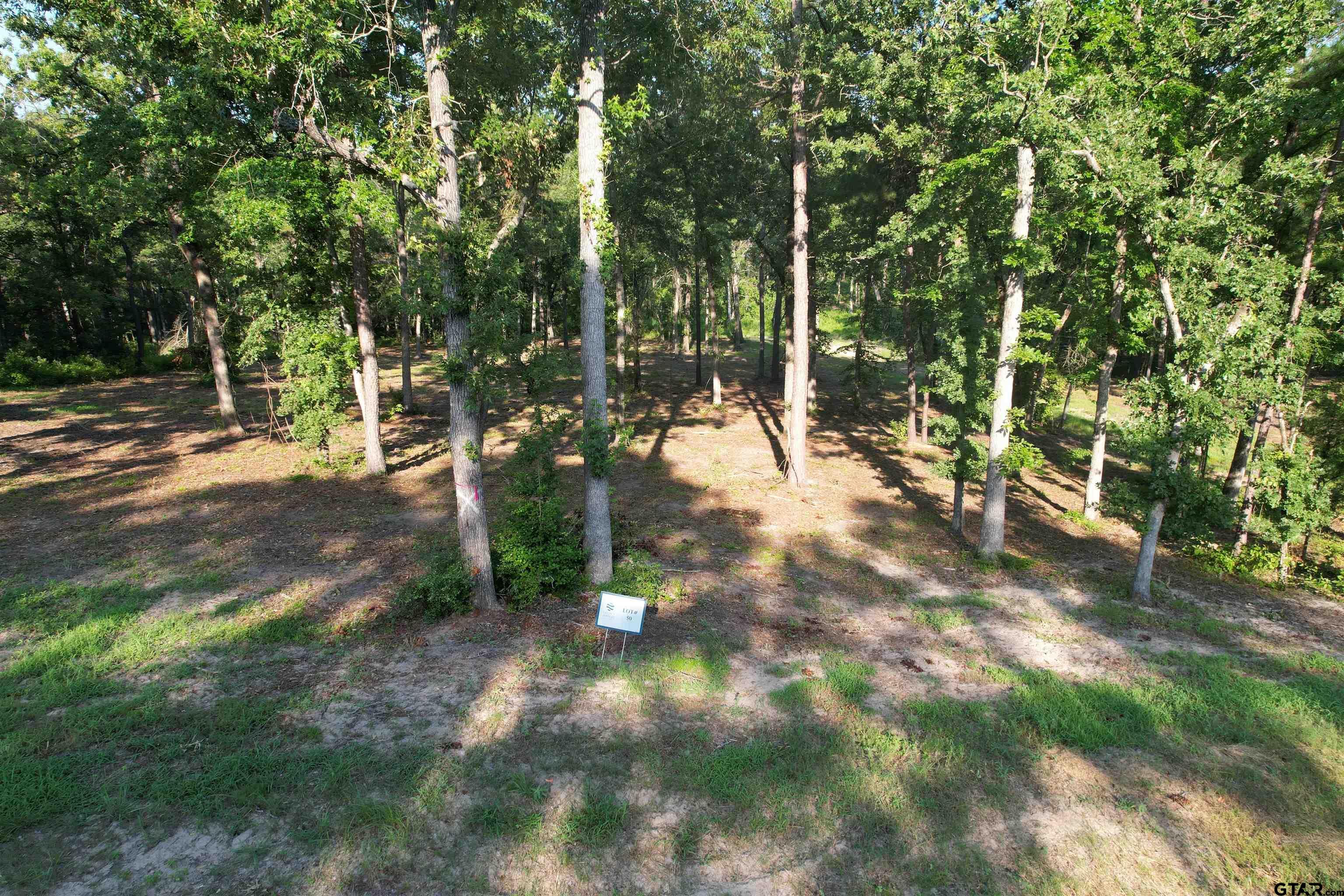 Image 1: Top Lot View