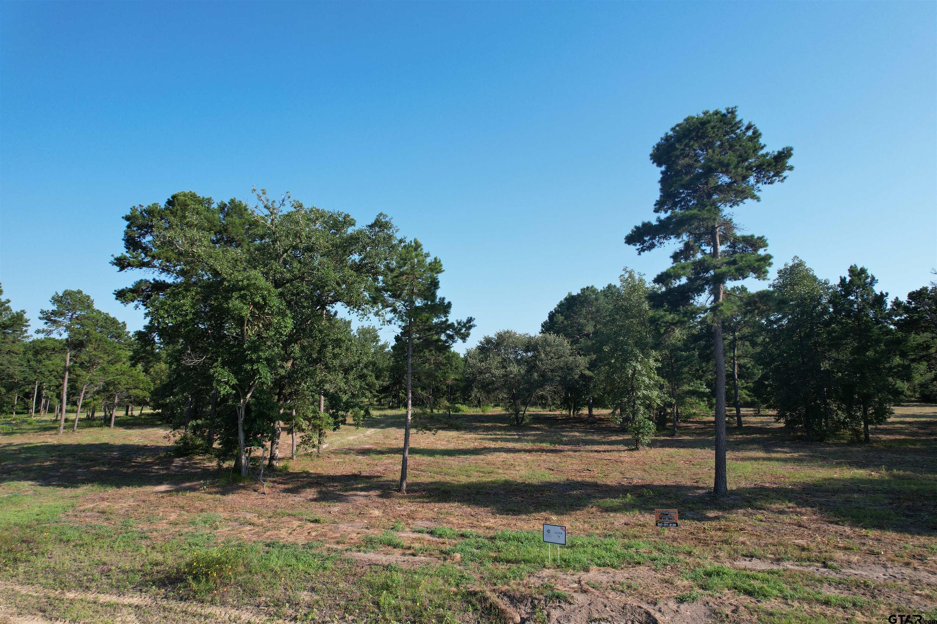 Image 0: Lot 78