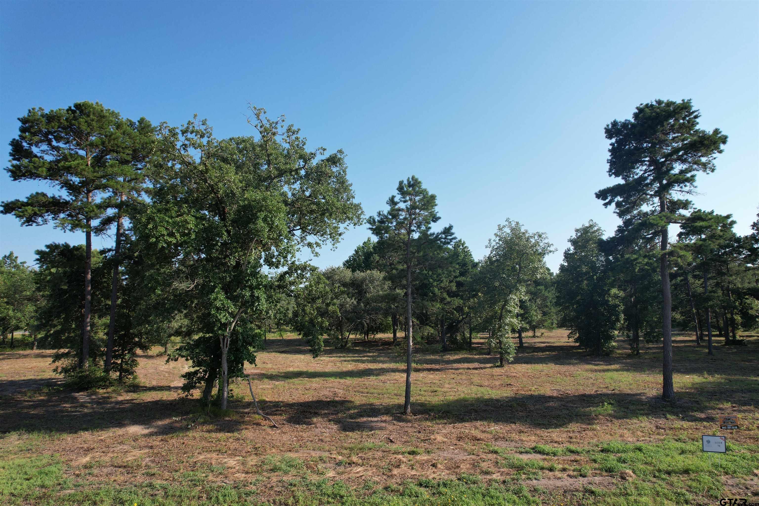 Image 1: Lot 78