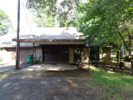 162 B Pine Tree