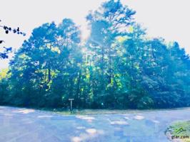 14698 Jade Forest