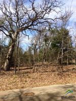 Lot 221 Tree Top Lane