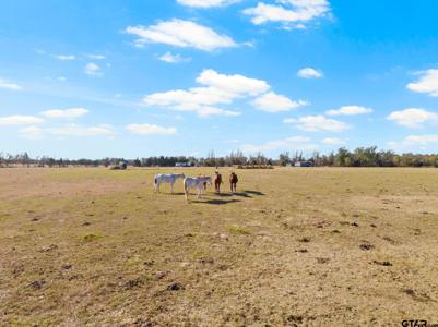 TBD County Road 4878