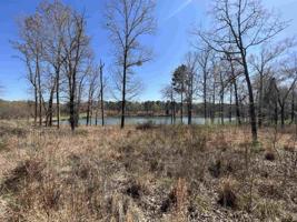 lot 49 PR 52416