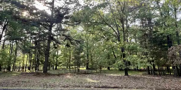 TBD Lot 60 Lock Mountain Rd.