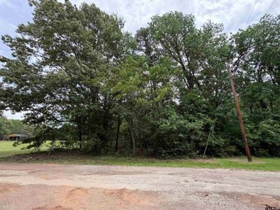 TBD LLANO MOUNT VERNON TX 75457