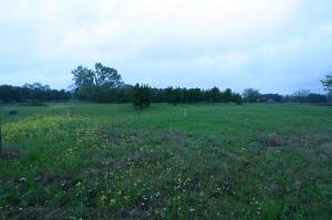 Lot 6 W HWY 11