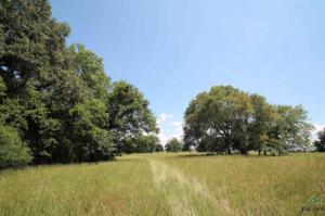 Tract 1 CR 1297
