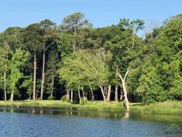7551 CR 4217 (Pleasant Ridge Rd)