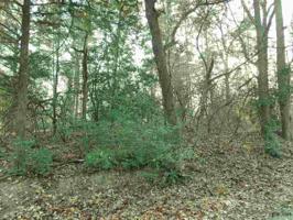 2-274, 275 Holly Trail West