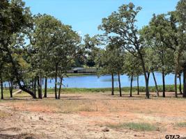 TBD RS County Road 3346