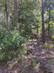 lot 10 Cypress Creek Dr