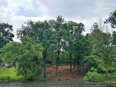 14976 Saline Dr.